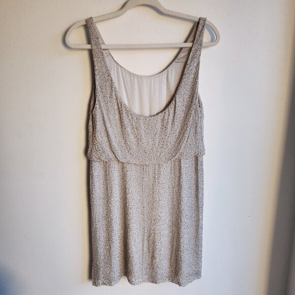 Sz4 Alice + Olivia Beaded Silk Blouson Mini Dress in Silver Gray - Picture 6 of 15